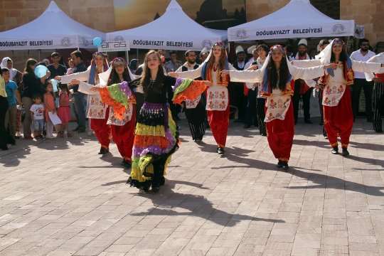 Ahmed-i Hani Kültür, Sanat ve Turizm Festivali