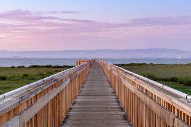 Baylands Doğa Koruma Alanı