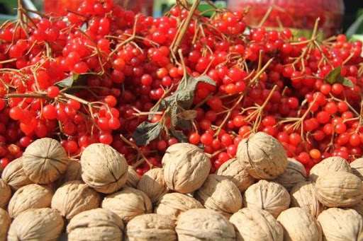 Gesi Ceviz ve Gilaboru Şenliği