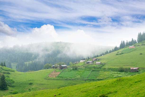 Giresun Ne Zaman Gidilir? | Hava Durumu | İklim
