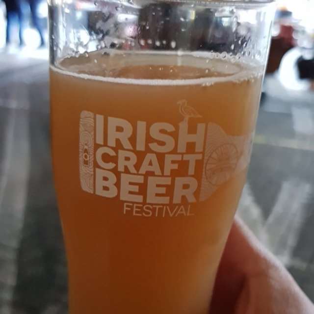 Irish Craft Beer ve Cider Festivali