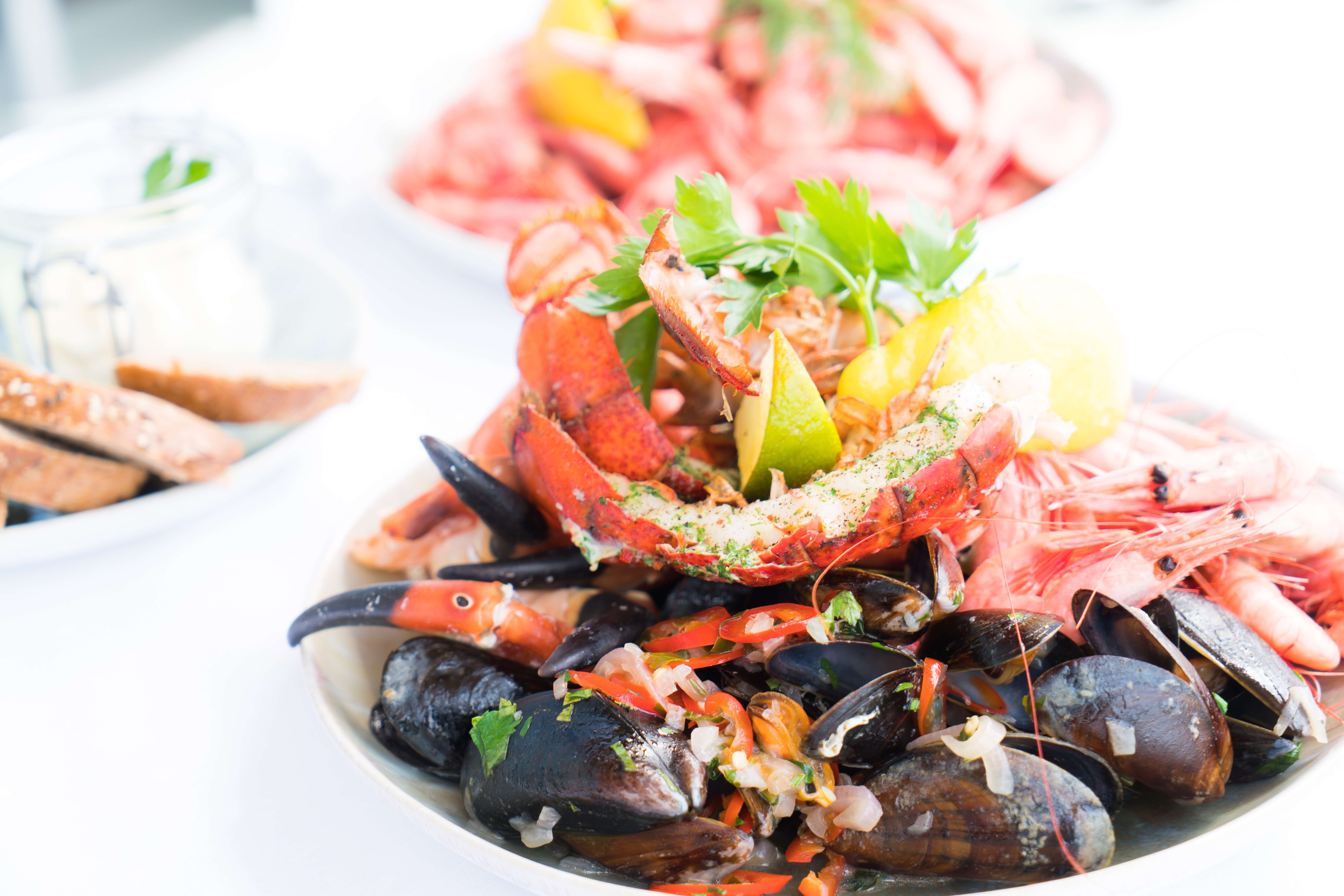 Lupo di Mare