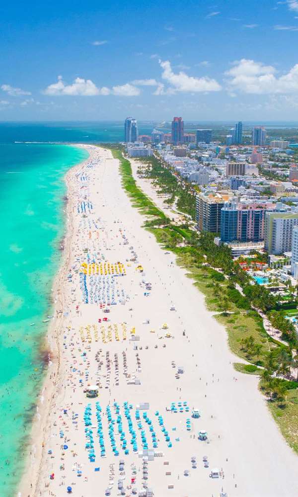Miami Hakkında