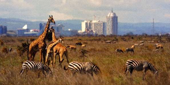 Nairobi Ulusal Parkı