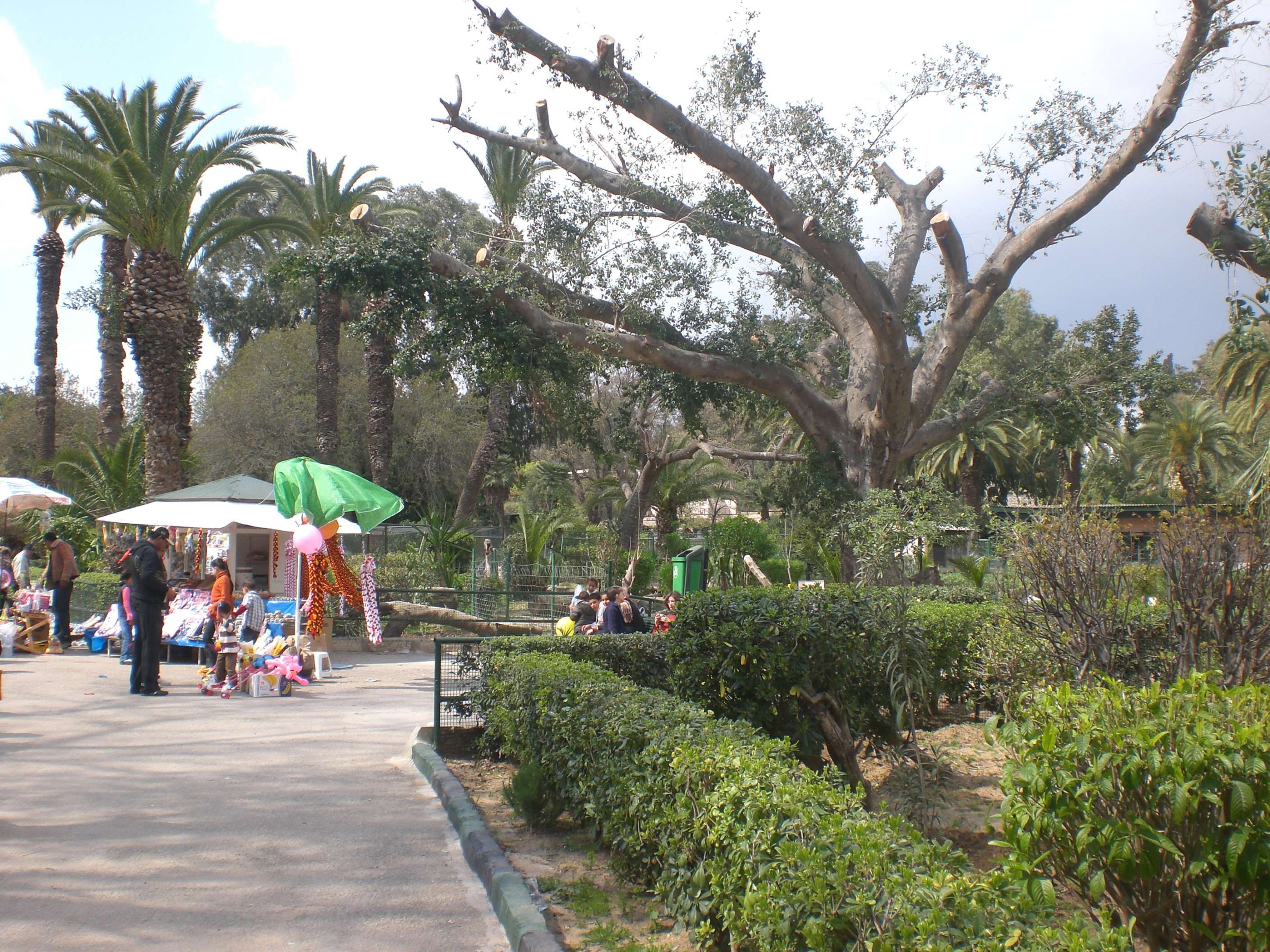 Parc du Belvedere