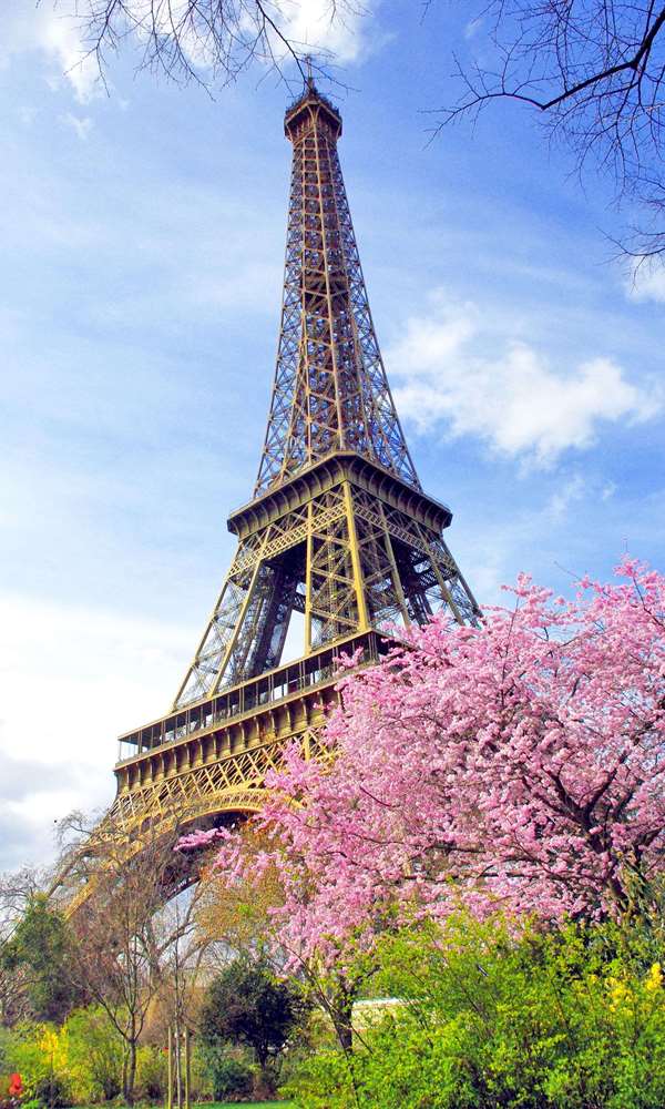 Paris Hakkında
