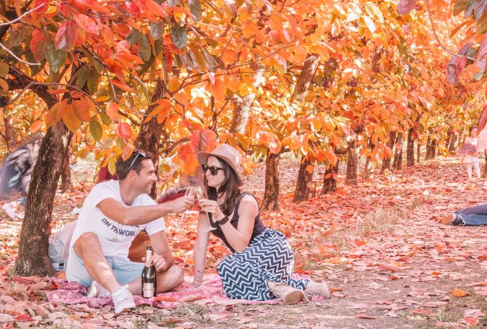 Perth's Autumn Festival