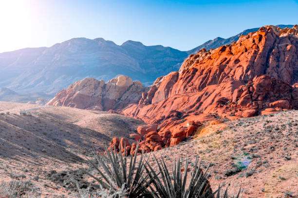 Red Rock Canyon Ulusal Koruma Alanı
