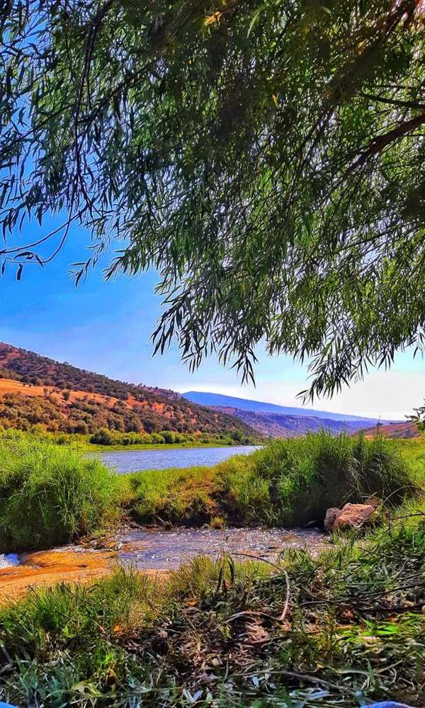 Şırnak Hakkında
