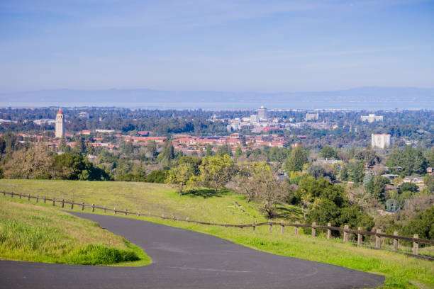 The Stanford Dish