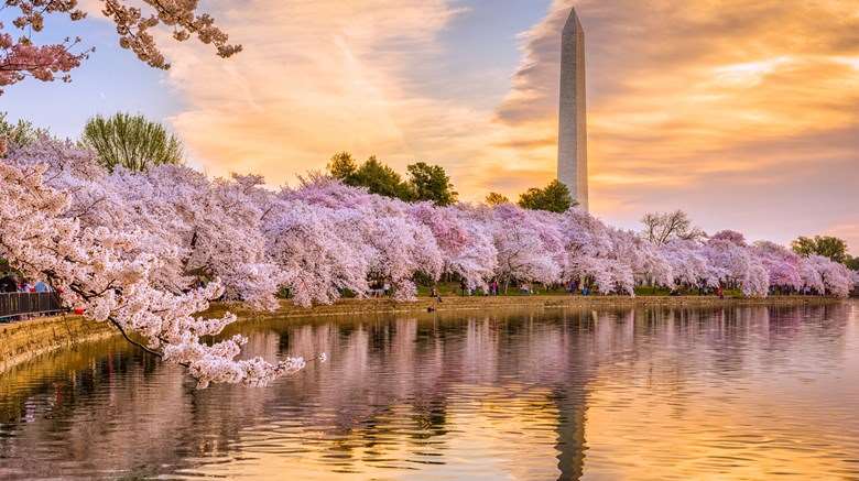 Washington Hakkında